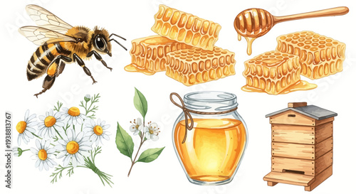 Watercolor illustration of bees honeycomb jar flowers and wooden beehive