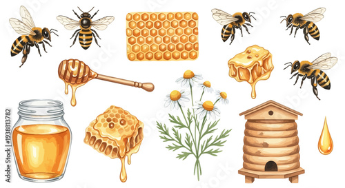 Watercolor illustration of bees honeycomb honey jar and chamomile flowers
