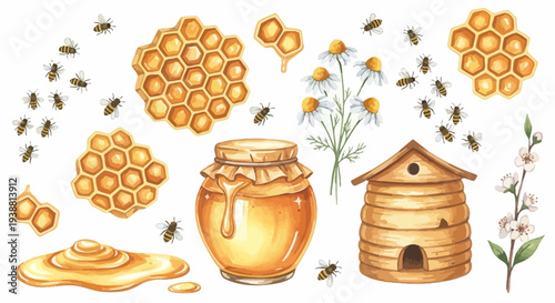 Watercolor illustration of bees honeycomb honey jar and flowers isolated