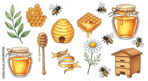 Watercolor illustration of bees honeycomb honey jar and related elements