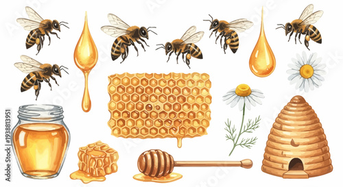 Watercolor illustration of bees honeycomb honey jar and related elements