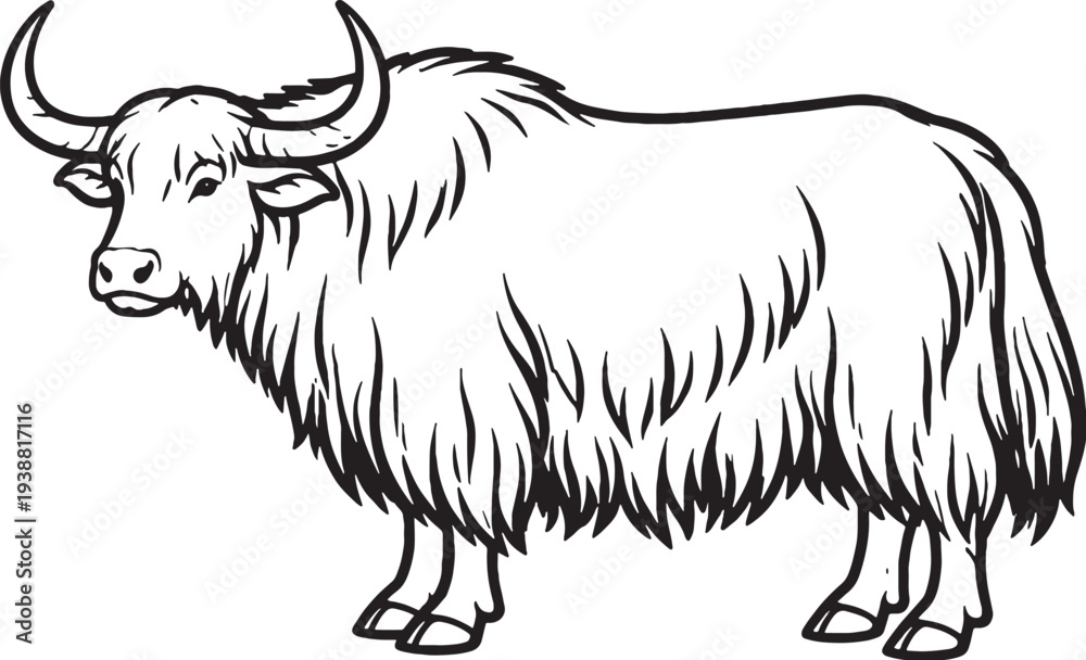 Obraz premium Yak Standing Side Profile Thick Fur Black and White Line Art Illustration