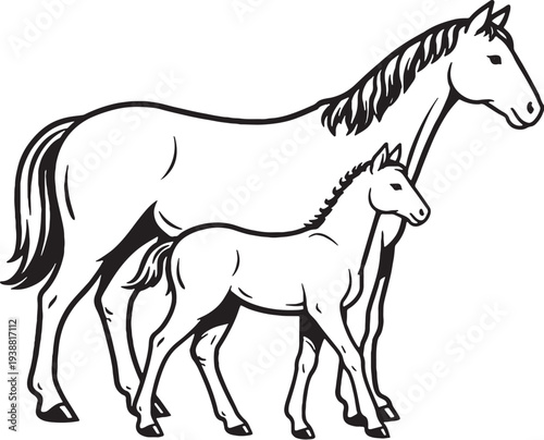 Horse And Foal Standing Side Together Black And White Line Art Illustration