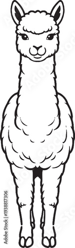 Alpaca Front View Calm Symmetrical Black and White Line Art Farm Animal Vector