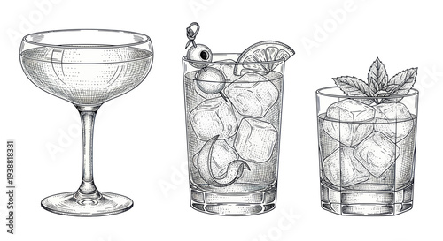 Hand drawn sketch of various alcoholic cocktails and drinks.