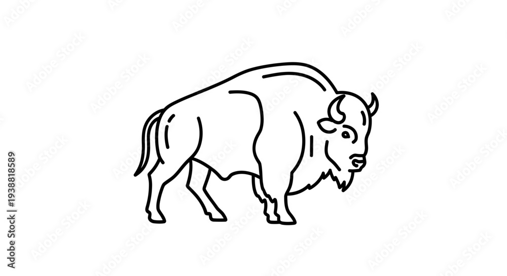 Obraz premium Bison standing in profile view.