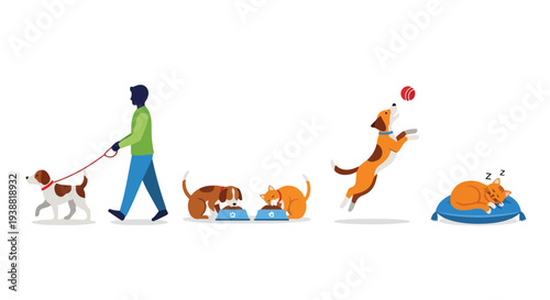 Simple and clean flat vector illustration of pet care routine elements like a dog walk, pet bowl, and ball toy, designed with bright colors on a white backdrop.