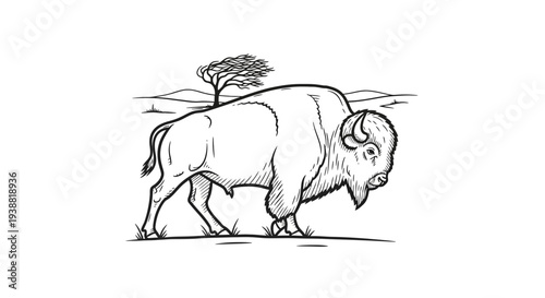 Large Bison Walking in Profile View.