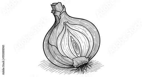 Hand-drawn sketch of a half-cut onion, showcasing its layers and texture.