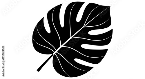 Monstera Deliciosa Leaf Silhouette Black and White Illustration.