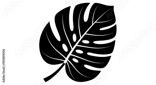 Monstera Deliciosa Leaf Silhouette Tropical Plant Design Element.