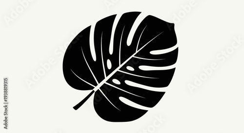 Monstera Deliciosa Leaf Silhouette on a Light Background.