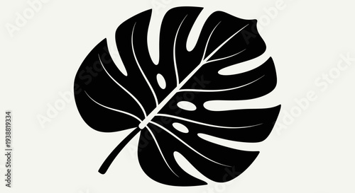 Monstera Leaf Silhouette Black and White Tropical Plant.