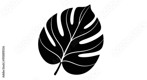 Monstera Deliciosa Leaf Silhouette Tropical Plant Design Element.