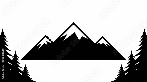 Pine trees silhouettes. Evergreen coniferous forest silhouette, nature spruce tree park, forest landscape