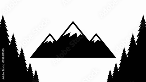 Pine trees silhouettes. Evergreen coniferous forest silhouette, nature spruce tree park, forest landscape