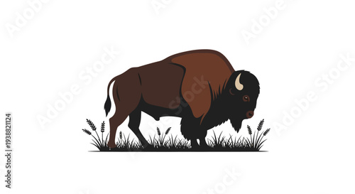 Brown bison standing in profile view.