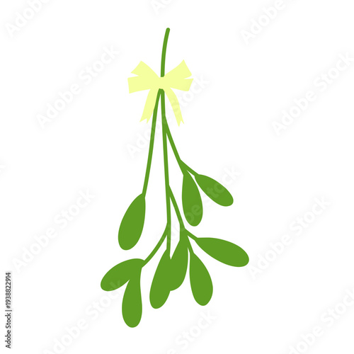Christmas mistletoe vector