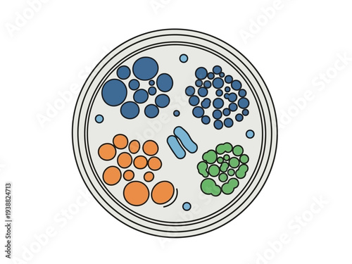 Petri dish with colorful bacterial colonies and rods.