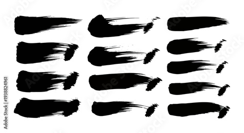 Collection of Black Ink Brush Strokes on White Background.