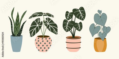 Stylized illustration of four potted houseplants with varying leaf shapes