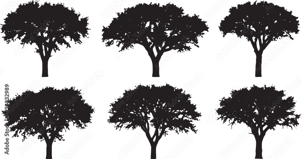 Fototapeta premium Black Solid Harvested Cork Oak Tree Silhouettes Set of Six on White Background