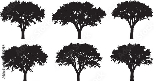 Black Solid Harvested Cork Oak Tree Silhouettes Set of Six on White Background