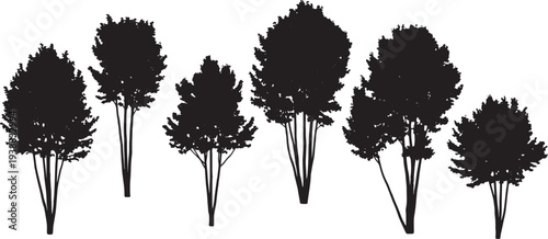 Black Solid Hazelnut Tree Silhouettes Set of Six on White Background