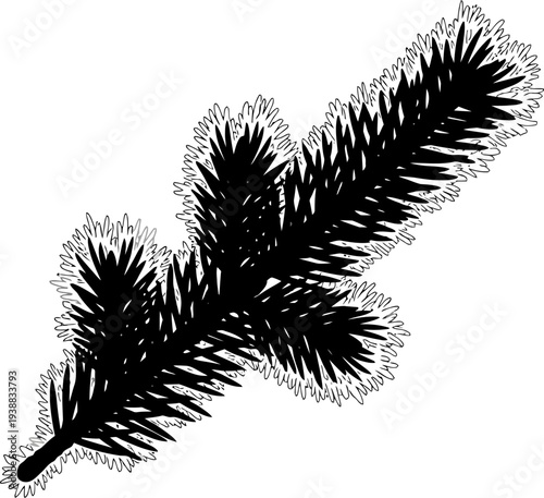 Coniferous pine branch silhouette with needles
