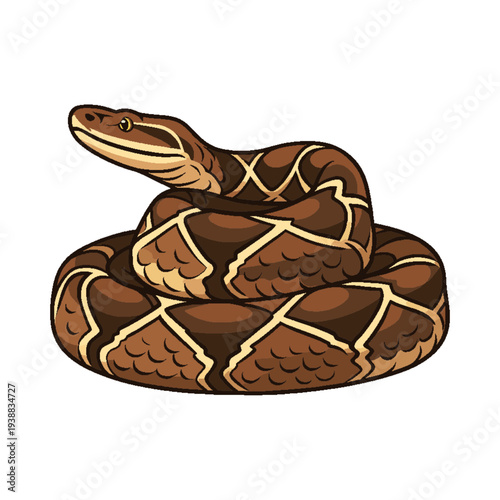 Coiled Brown Python Snake Cartoon Illustration Isolated on White Background