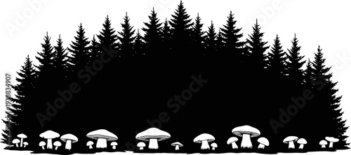 Dense woodland silhouette featuring various wild mushrooms on the forest floor
