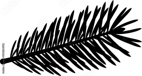 Detailed evergreen branch silhouette for nature design