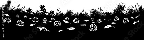 Forest floor silhouette with pine cones and needles