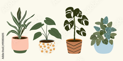 Stylized illustration of four potted houseplants with varying leaf shapes