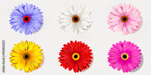 A collection of vibrant gerbera daisies in various pastel shades