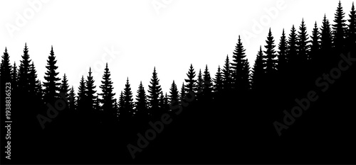 Horizon line of dense evergreen pine forest silhouette