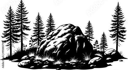 Large boulder surrounded by pine trees in forest clearing