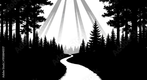 Serene forest path winding through a pine landscape