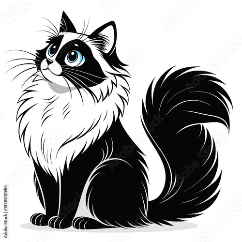 Elegant Ragdoll Cat Silhouette Vector with Fluffy Fur and Large Eyes