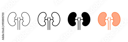Set of minimalist kidney icons with transparent background, depicting human anatomy, medical symbols, healthcare diagnostics, and organ health, vector illustration