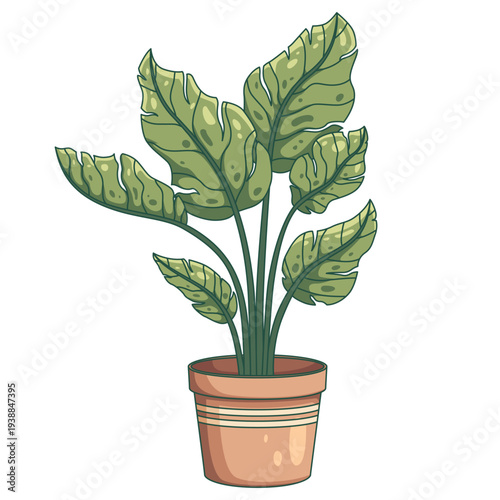 Monstera deliciosa plant in a terracotta pot illustration
