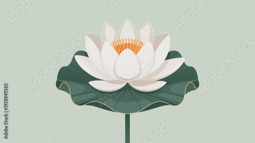 White lotus flower blooming on a green lily pad against a minimalist background illustration