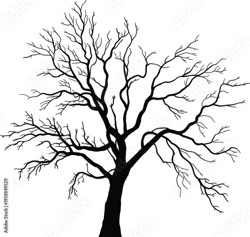 Professional Black Silhouette Vector Illustration Of A Large Bare Tree Featuring Detailed Spreading Branches And Twigs
