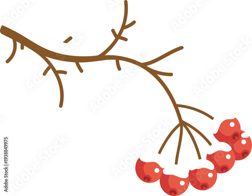 Colorful Winter Berry Branch Illustration Featuring Red Berries Covered In White Snow On Brown Twigs