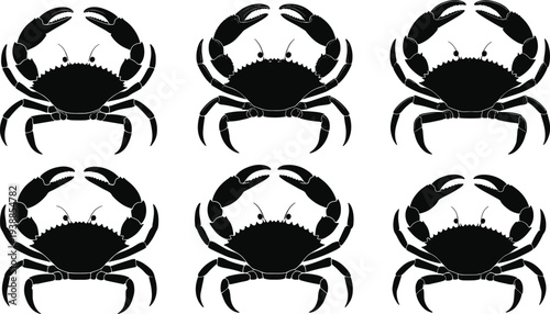 Professional young woman working on laptop in bright modern home office, freelance entrepreneur typing, female executive managing remote business projects