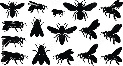 Large collection of black bee silhouettes, honeybee and bumblebee insects set isolated on white background for nature, gardening, and environmental conservation design elements