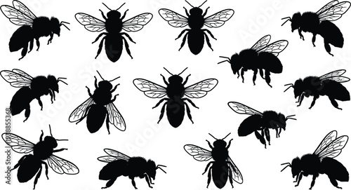 Large collection of black bee silhouettes, honeybee and bumblebee insects with detailed wings isolated on white background for nature, garden and environment design