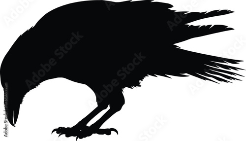 Black raven silhouette standing on ground, large crow bird profile isolated on white background, gothic wildlife animal icon for halloween design and posters