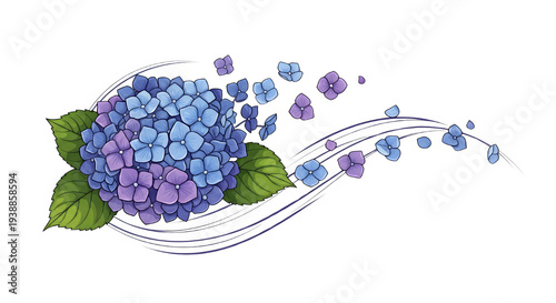 Blue Purple Hydrangea Flowe...