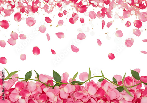 Falling Pink Rose Petals Bo...